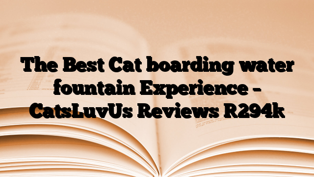 The Best Cat boarding water fountain Experience – CatsLuvUs Reviews