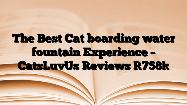 The Best Cat boarding water fountain Experience – CatsLuvUs Reviews