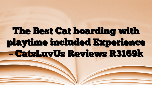 The Best Cat boarding with playtime included Experience – CatsLuvUs Reviews