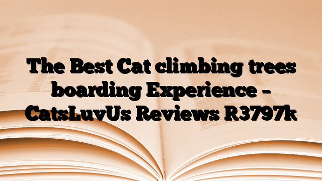 The Best Cat climbing trees boarding Experience – CatsLuvUs Reviews