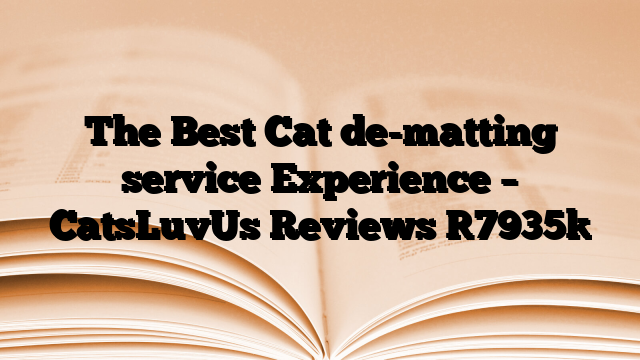 The Best Cat de-matting service Experience – CatsLuvUs Reviews