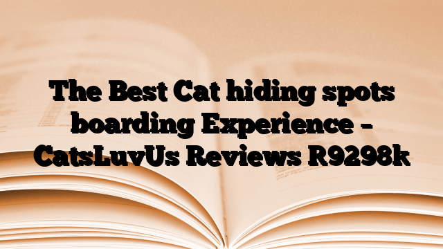 The Best Cat hiding spots boarding Experience – CatsLuvUs Reviews