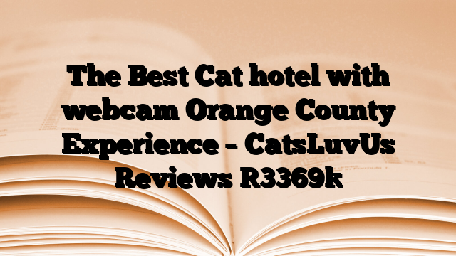 The Best Cat hotel with webcam Orange County Experience – CatsLuvUs Reviews