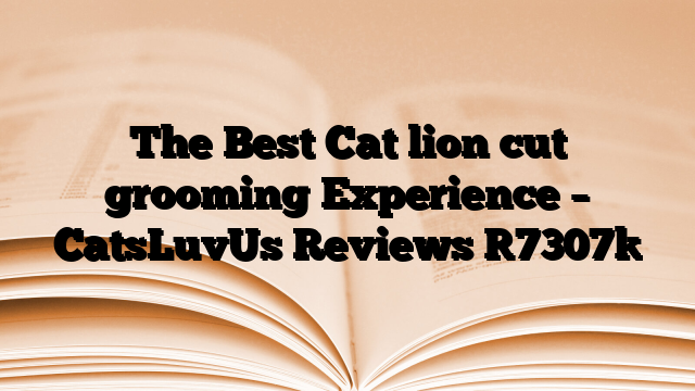 The Best Cat lion cut grooming Experience – CatsLuvUs Reviews