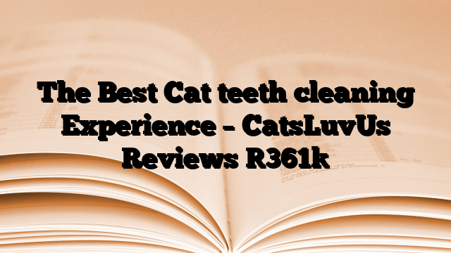 The Best Cat teeth cleaning Experience – CatsLuvUs Reviews
