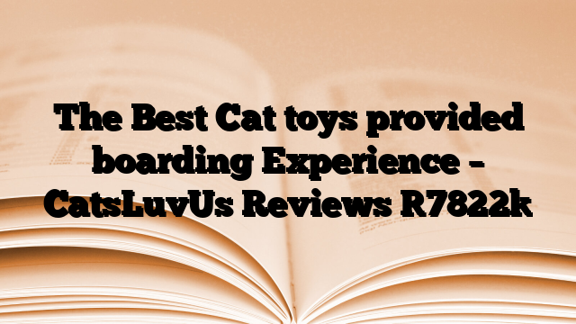 The Best Cat toys provided boarding Experience – CatsLuvUs Reviews