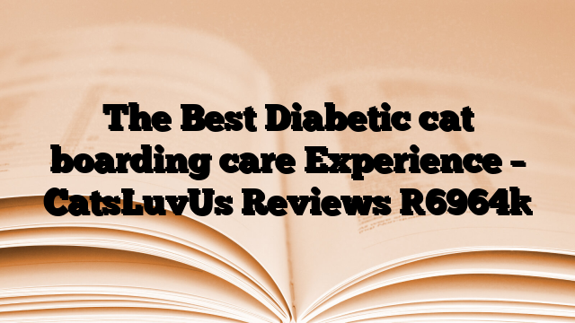 The Best Diabetic cat boarding care Experience – CatsLuvUs Reviews