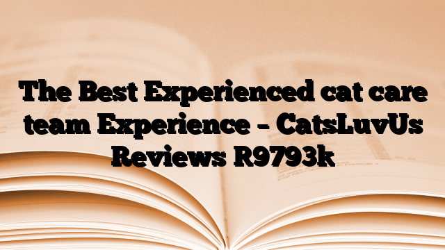 The Best Experienced cat care team Experience – CatsLuvUs Reviews