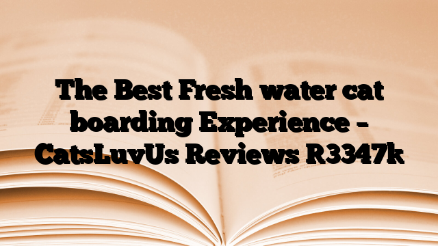 The Best Fresh water cat boarding Experience – CatsLuvUs Reviews