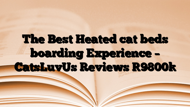 The Best Heated cat beds boarding Experience – CatsLuvUs Reviews