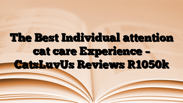 The Best Individual attention cat care Experience – CatsLuvUs Reviews
