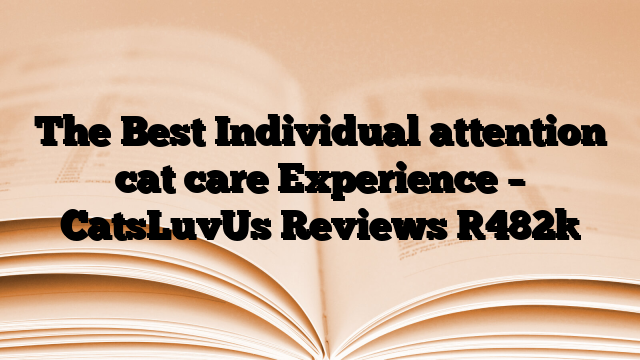 The Best Individual attention cat care Experience – CatsLuvUs Reviews
