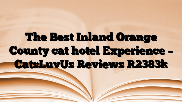 The Best Inland Orange County cat hotel Experience – CatsLuvUs Reviews