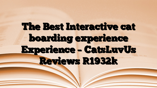The Best Interactive cat boarding experience Experience – CatsLuvUs Reviews