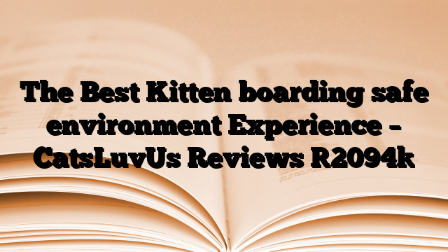 The Best Kitten boarding safe environment Experience – CatsLuvUs Reviews