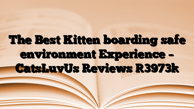The Best Kitten boarding safe environment Experience – CatsLuvUs Reviews