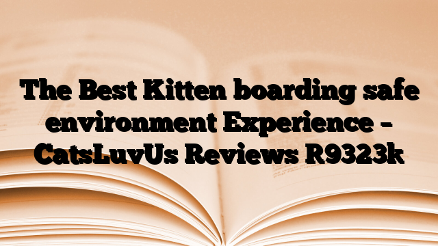 The Best Kitten boarding safe environment Experience – CatsLuvUs Reviews