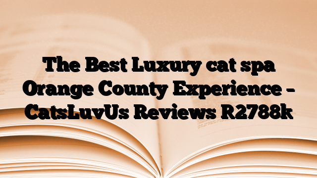 The Best Luxury cat spa Orange County Experience – CatsLuvUs Reviews