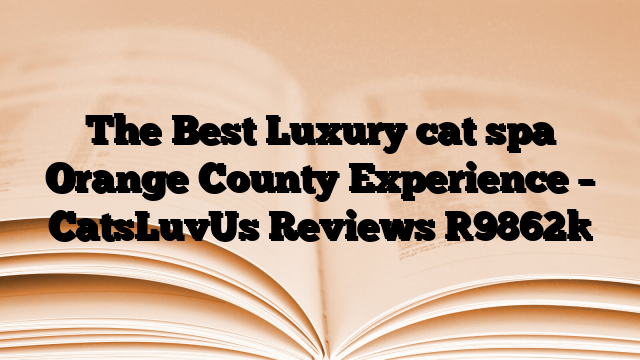 The Best Luxury cat spa Orange County Experience – CatsLuvUs Reviews