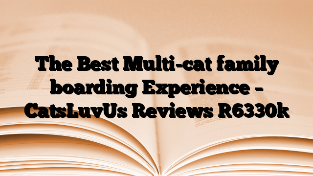 The Best Multi-cat family boarding Experience – CatsLuvUs Reviews
