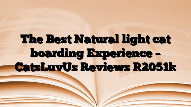 The Best Natural light cat boarding Experience – CatsLuvUs Reviews