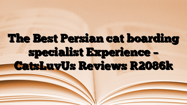 The Best Persian cat boarding specialist Experience – CatsLuvUs Reviews