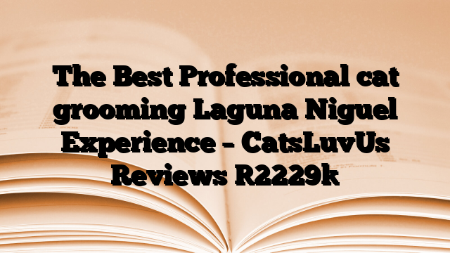 The Best Professional cat grooming Laguna Niguel Experience – CatsLuvUs Reviews