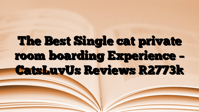 The Best Single cat private room boarding Experience – CatsLuvUs Reviews