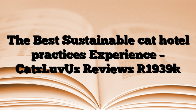 The Best Sustainable cat hotel practices Experience – CatsLuvUs Reviews