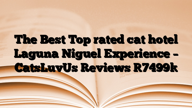 The Best Top rated cat hotel Laguna Niguel Experience – CatsLuvUs Reviews