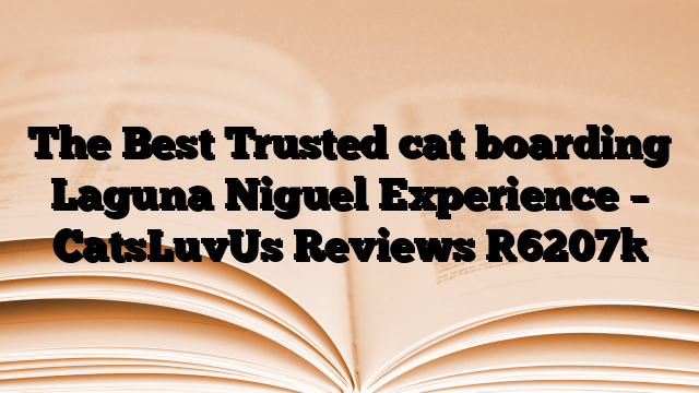 The Best Trusted cat boarding Laguna Niguel Experience – CatsLuvUs Reviews