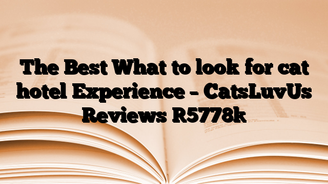 The Best What to look for cat hotel Experience – CatsLuvUs Reviews