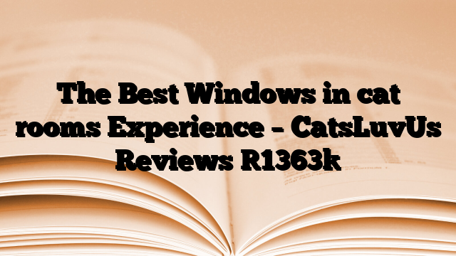 The Best Windows in cat rooms Experience – CatsLuvUs Reviews