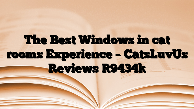 The Best Windows in cat rooms Experience – CatsLuvUs Reviews