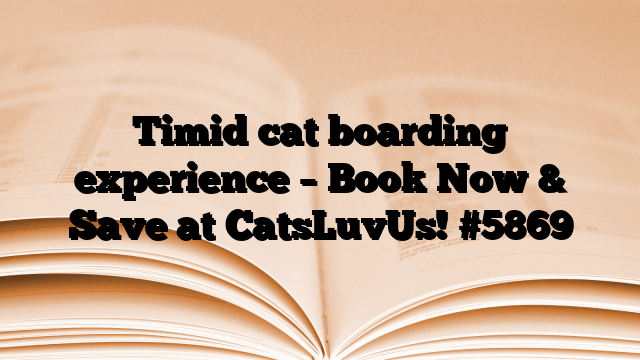 Timid cat boarding experience – Book Now & Save at CatsLuvUs!