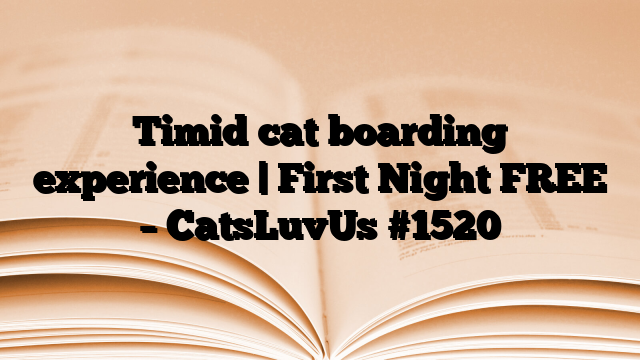 Timid cat boarding experience | First Night FREE – CatsLuvUs
