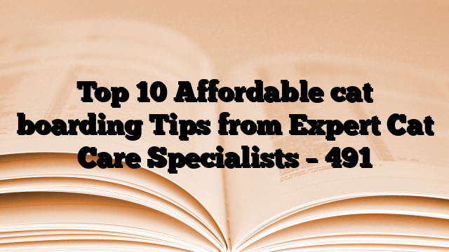 Top 10 Affordable cat boarding Tips from Expert Cat Care Specialists