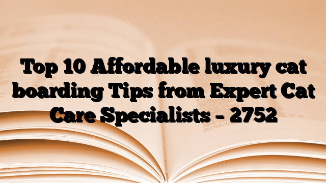 Top 10 Affordable luxury cat boarding Tips from Expert Cat Care Specialists