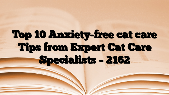 Top 10 Anxiety-free cat care Tips from Expert Cat Care Specialists