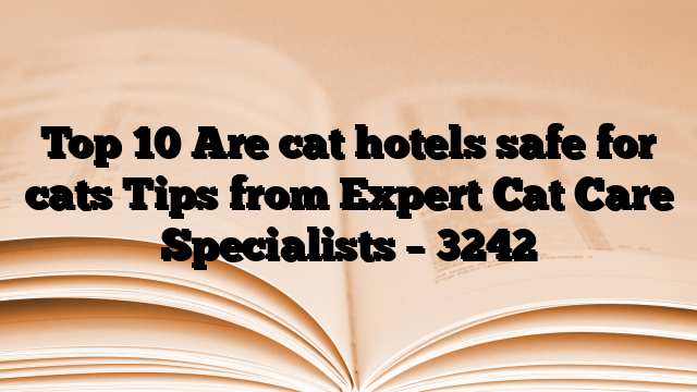 Top 10 Are cat hotels safe for cats Tips from Expert Cat Care Specialists