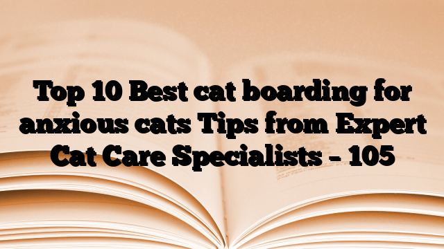 Top 10 Best cat boarding for anxious cats Tips from Expert Cat Care Specialists