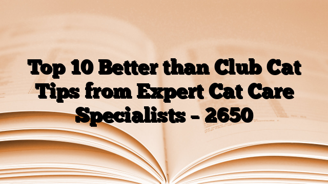 Top 10 Better than Club Cat Tips from Expert Cat Care Specialists