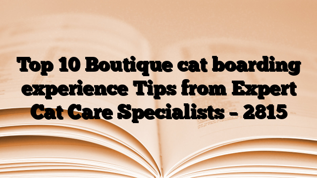 Top 10 Boutique cat boarding experience Tips from Expert Cat Care Specialists