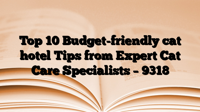 Top 10 Budget-friendly cat hotel Tips from Expert Cat Care Specialists
