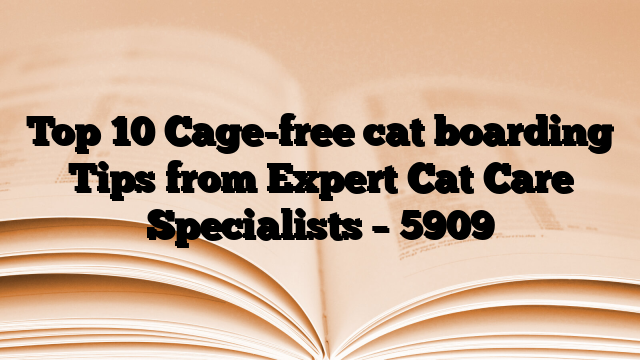 Top 10 Cage-free cat boarding Tips from Expert Cat Care Specialists