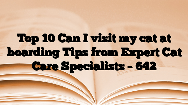 Top 10 Can I visit my cat at boarding Tips from Expert Cat Care Specialists