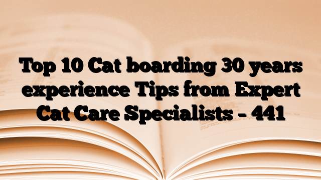 Top 10 Cat boarding 30 years experience Tips from Expert Cat Care Specialists