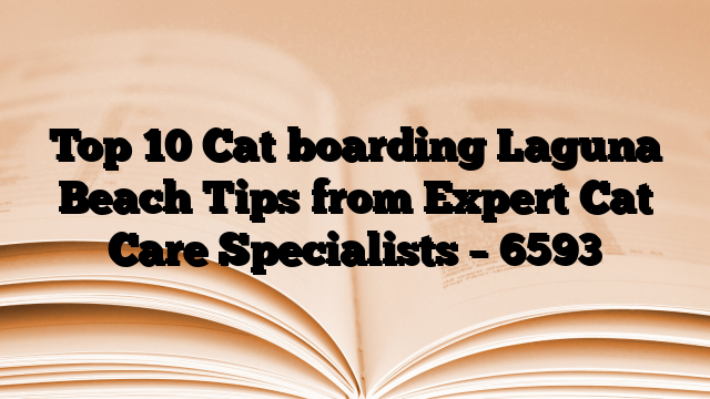 Top 10 Cat boarding Laguna Beach Tips from Expert Cat Care Specialists