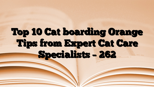 Top 10 Cat boarding Orange Tips from Expert Cat Care Specialists
