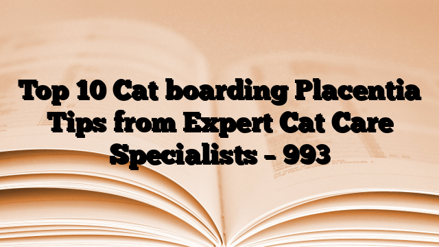 Top 10 Cat boarding Placentia Tips from Expert Cat Care Specialists